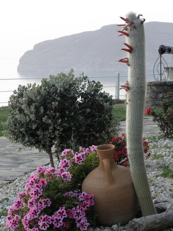 Villa Tholos Crete Kavoúsion 외부 사진