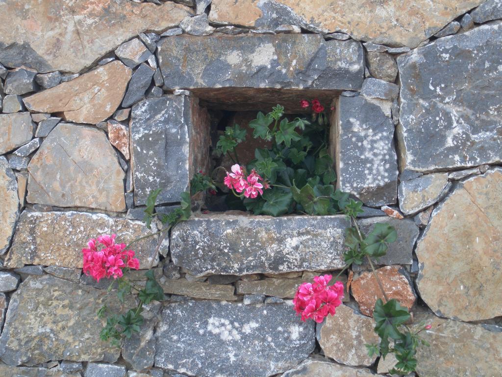 Villa Tholos Crete Kavoúsion 외부 사진